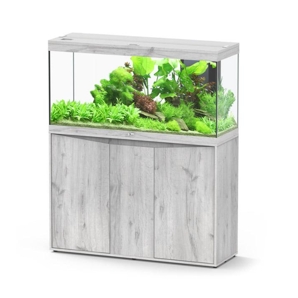 Aquarium with wooden base on a white background