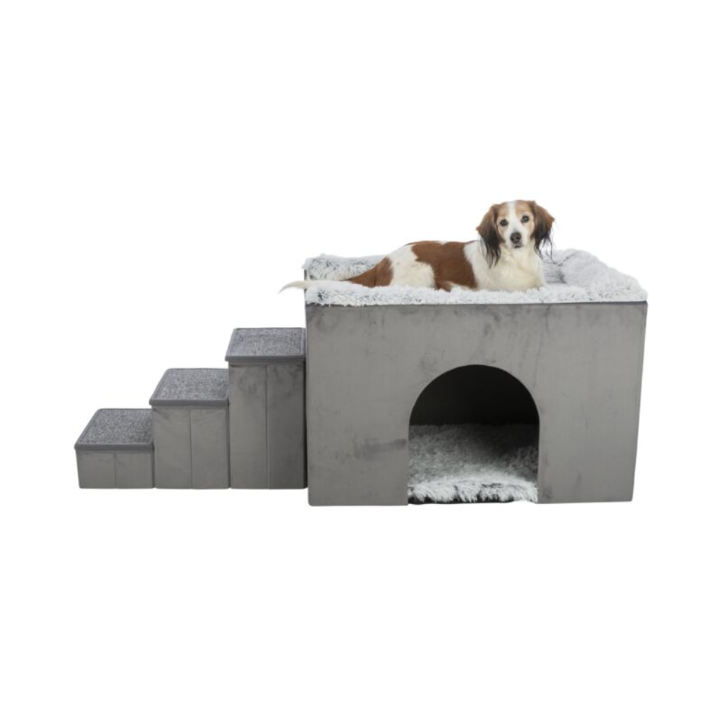 Harvey Dog Bed with Steps