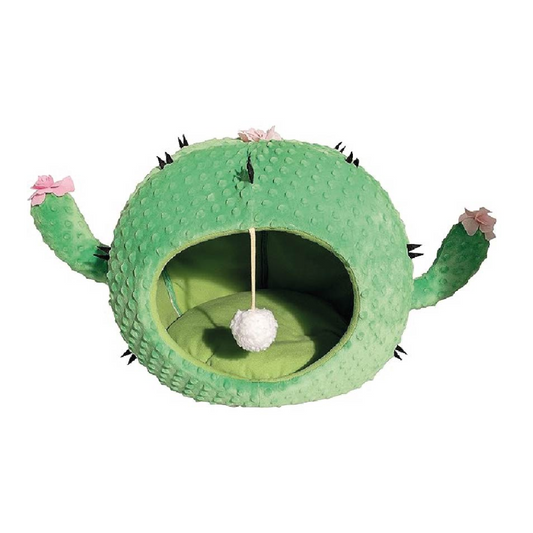 Cactus Pet Bed Pedro