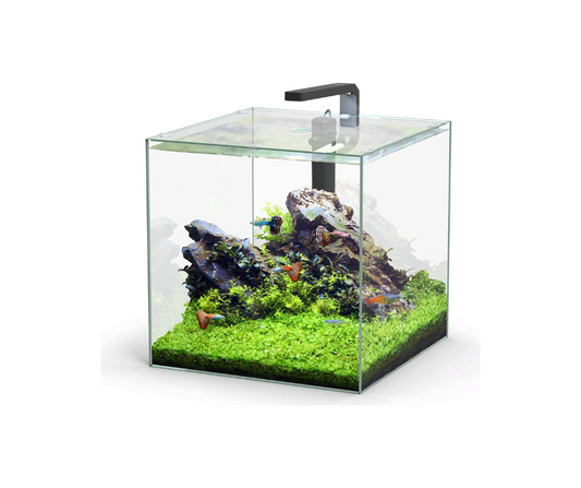 Aquarium Kubu 5lt (Excl Equipment)