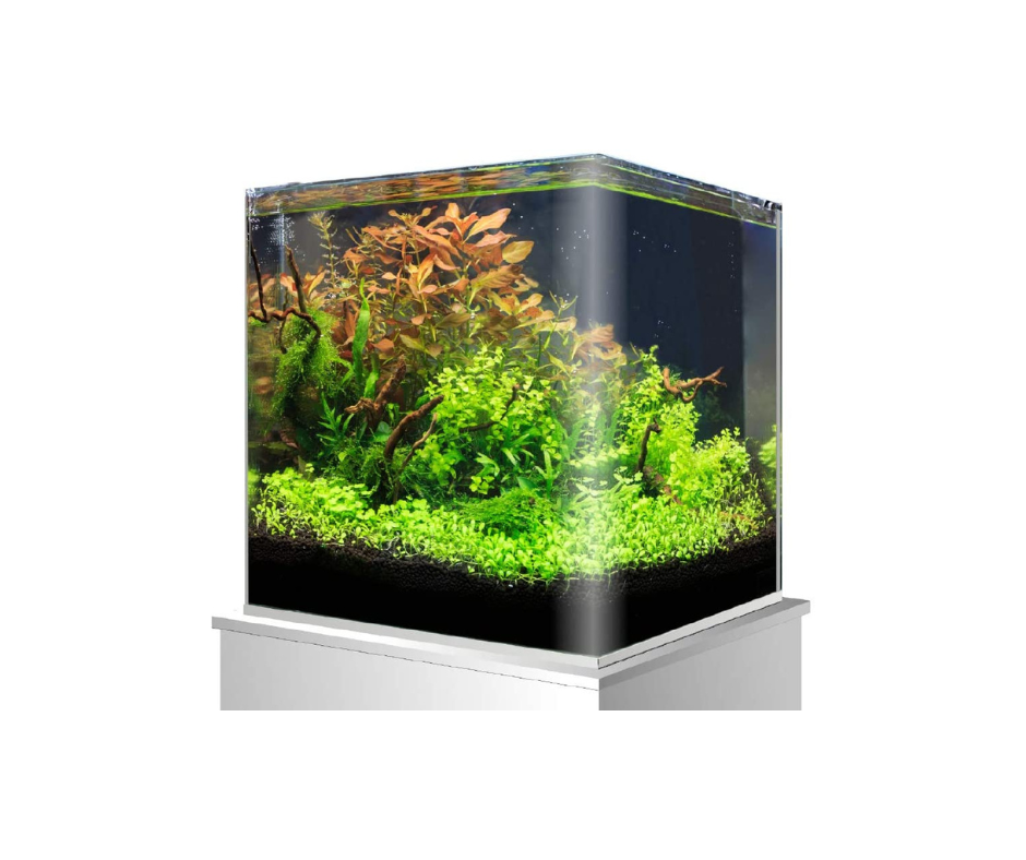 Amtra Nano Scaping 30