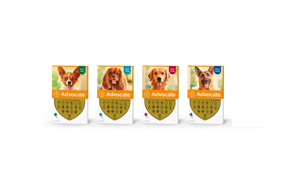 Bayer Advocate Dog / 1 Pippette