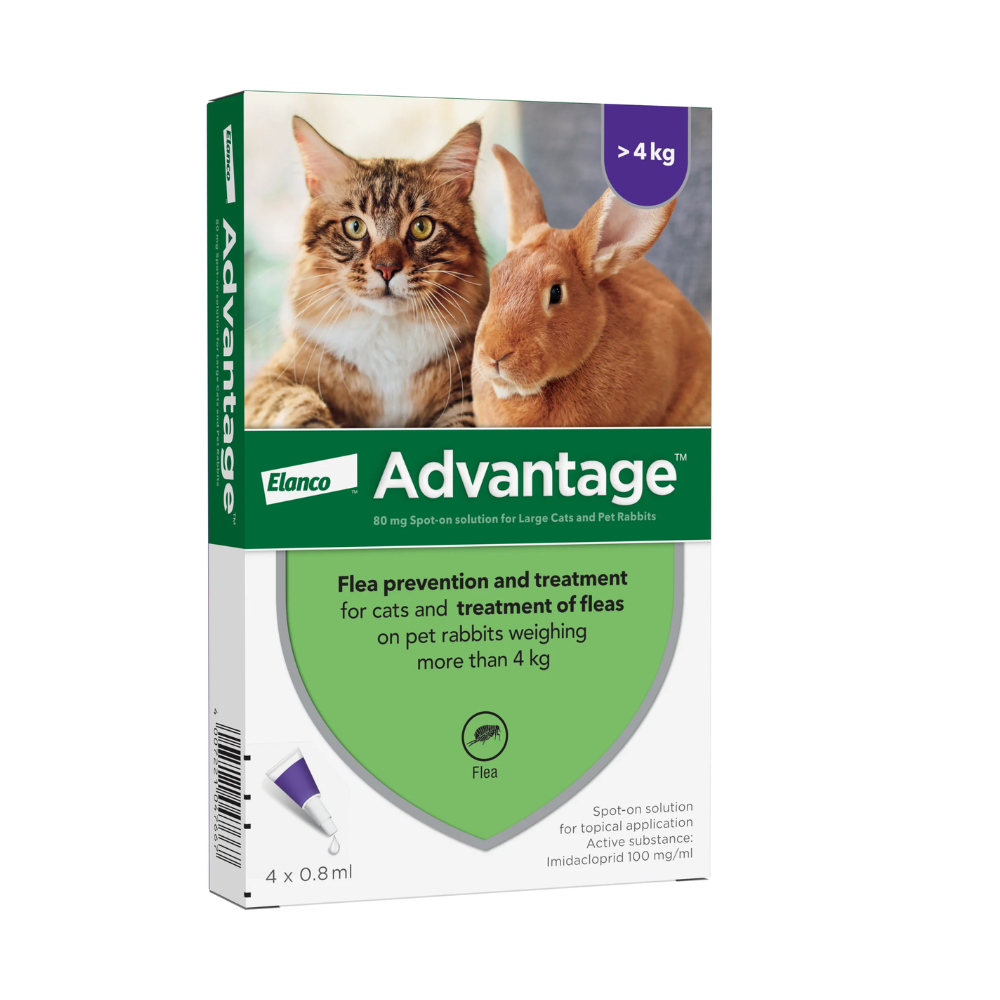 Advantage Cat 1 Pipette