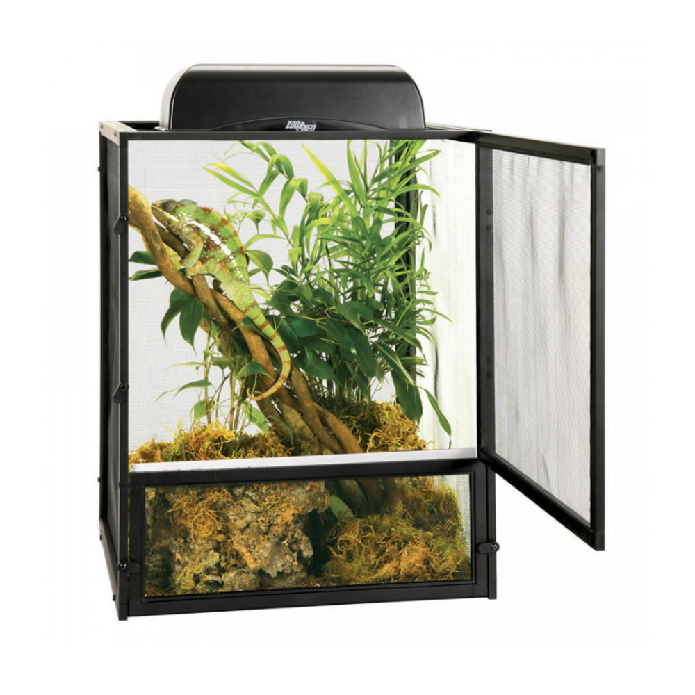 Terrarium with plants and a chameleon inside on a white background
