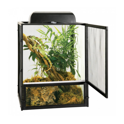 Terrarium with plants and a chameleon inside on a white background