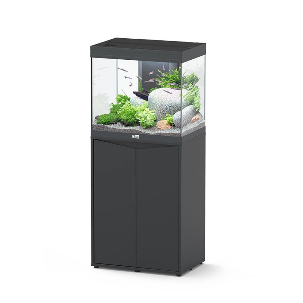 Black aquarium with fish and plants on a white background