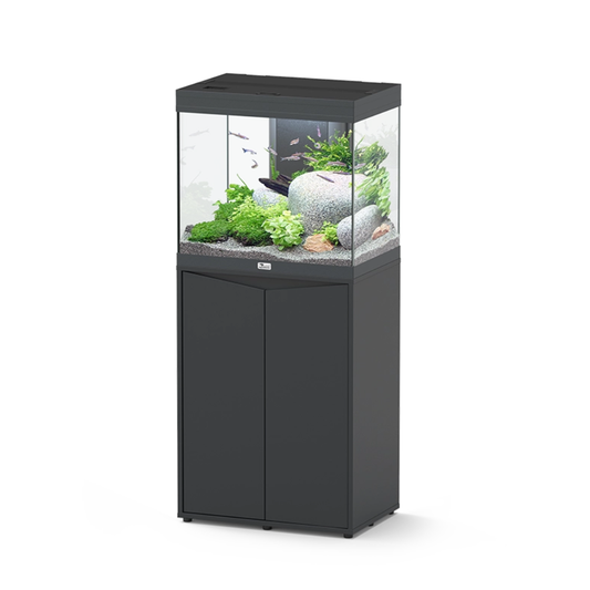 Black aquarium with fish and plants on a white background