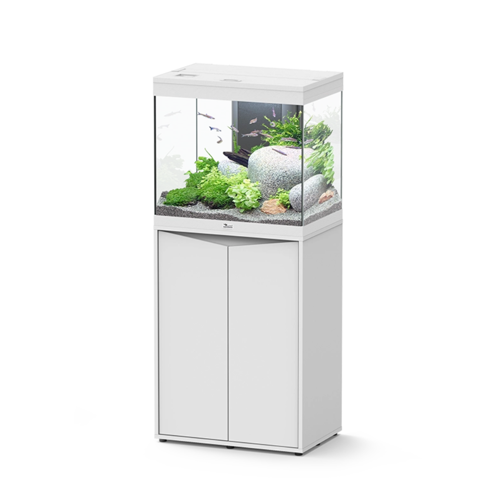 White aquarium with green plants and rocks on a white background