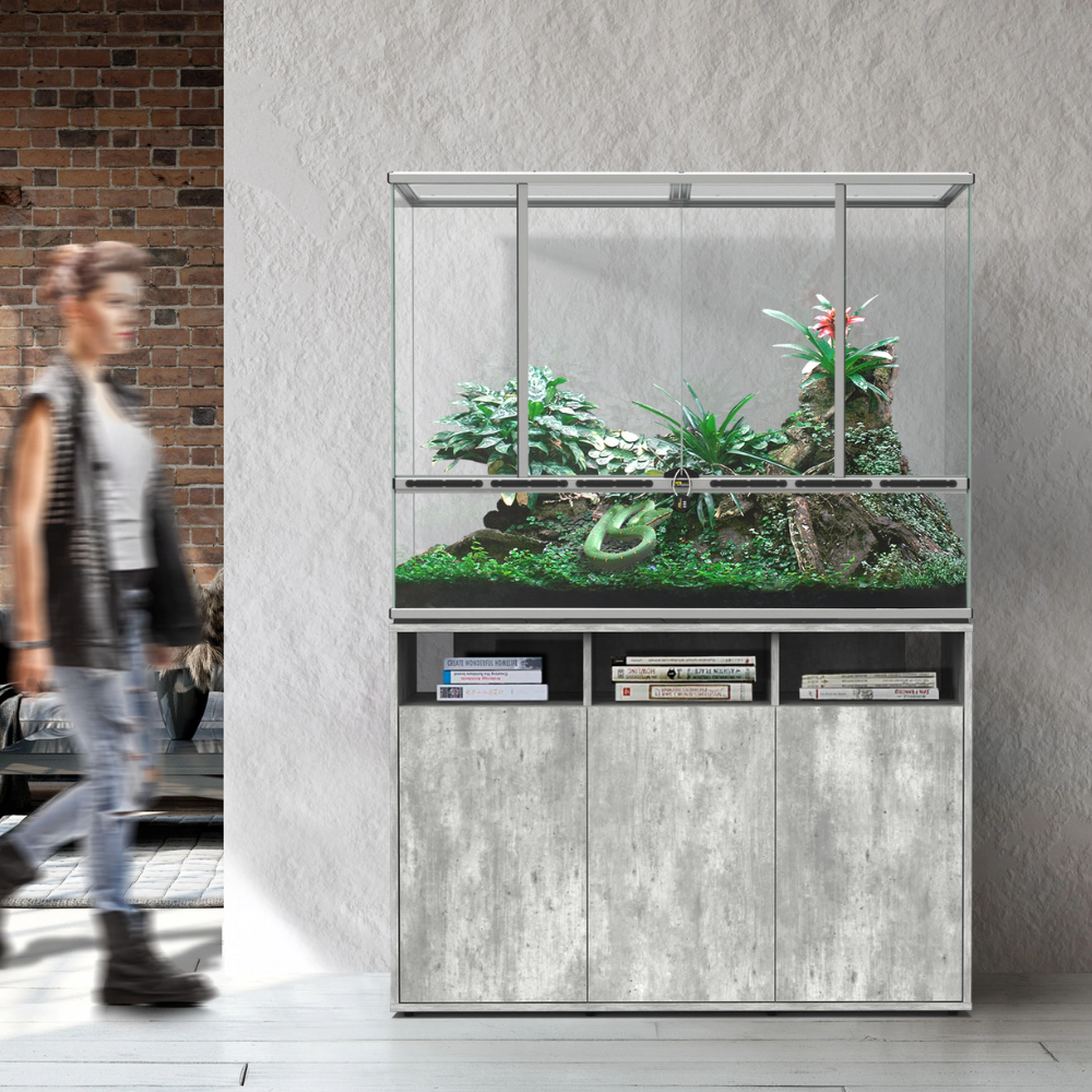 vivarium with wooden cabinet on a gray wall background