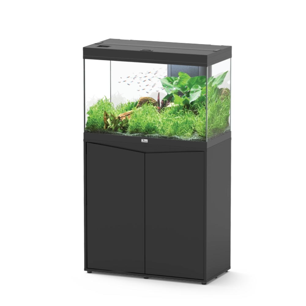 Black aquarium with green plants on a white background