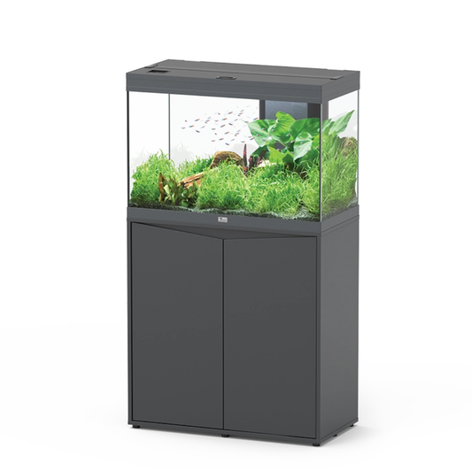 Aquarium with green plants and fish on a white background