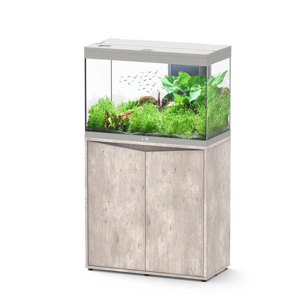 aquarium with plants on a white background