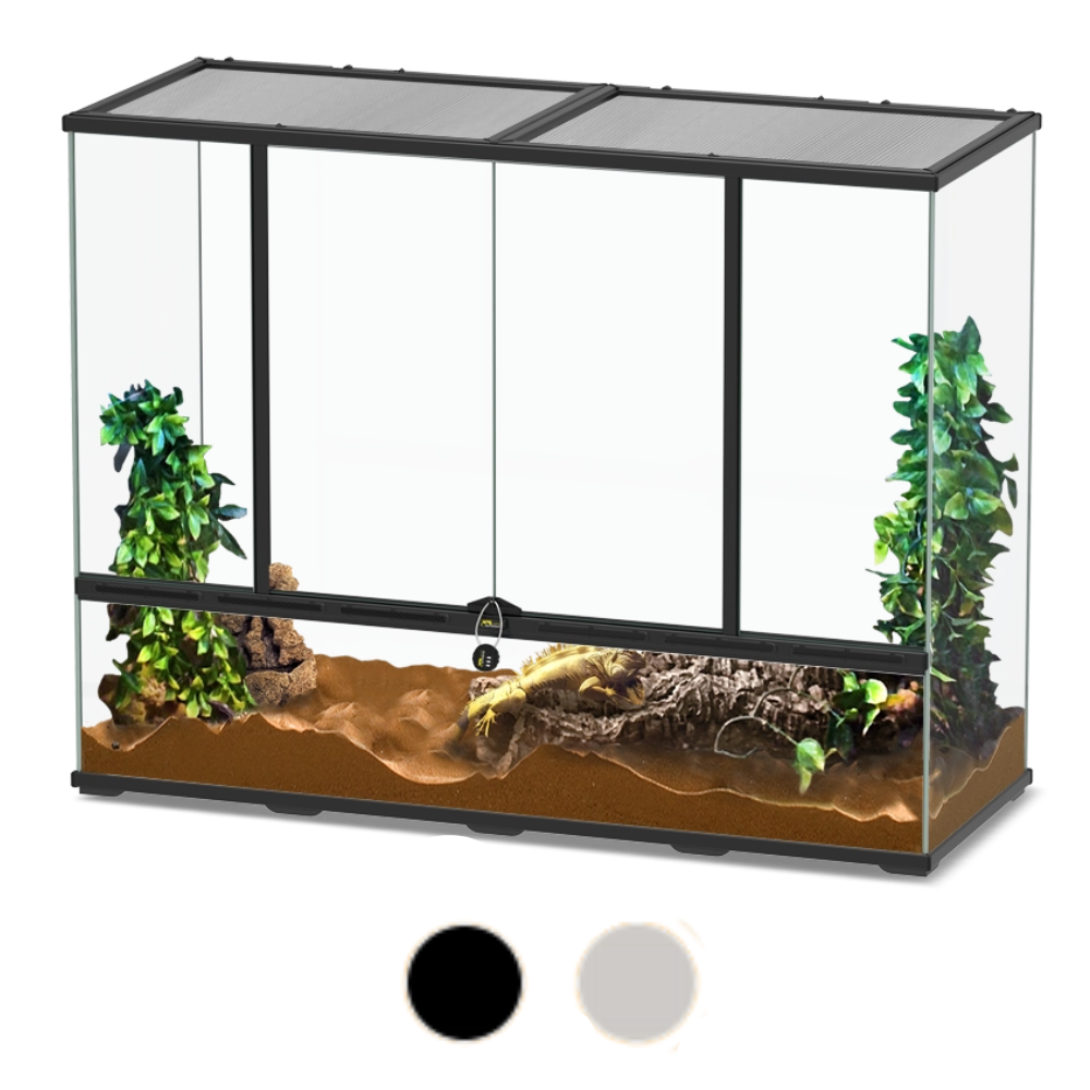 Clear terrarium with black frame and green plants on a white background