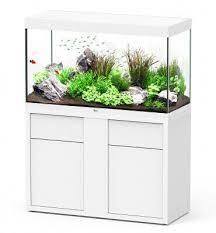 Aquarium Sublime 120x50 Gloss White + Canister Filter