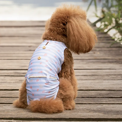 Dog SwimSuit Sunrise 25 - 30 cm