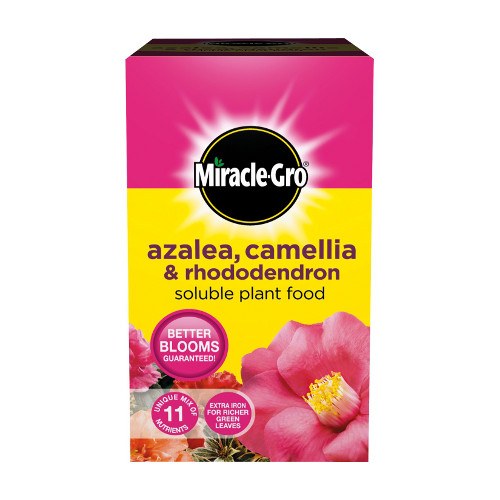 Miracle Grow Azalea, Camellia & Rhododendron Soluble