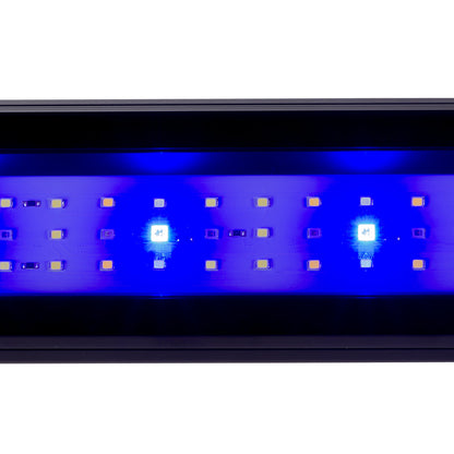 Hydor ELBA 110 – 230 L Panoramic Aquascape Aquarium (110×45×51.5 cm)