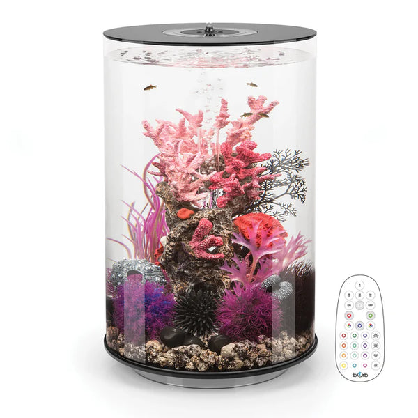 biOrb TUBE 30 MCR Black cylindrical aquarium with multi-color LED and integrated filtration.