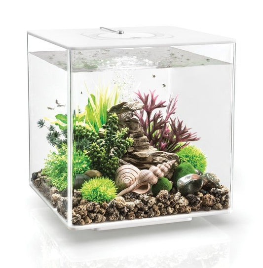 biOrb CUBE 30 MCR Aquarium – White (30 L / 8 gal)