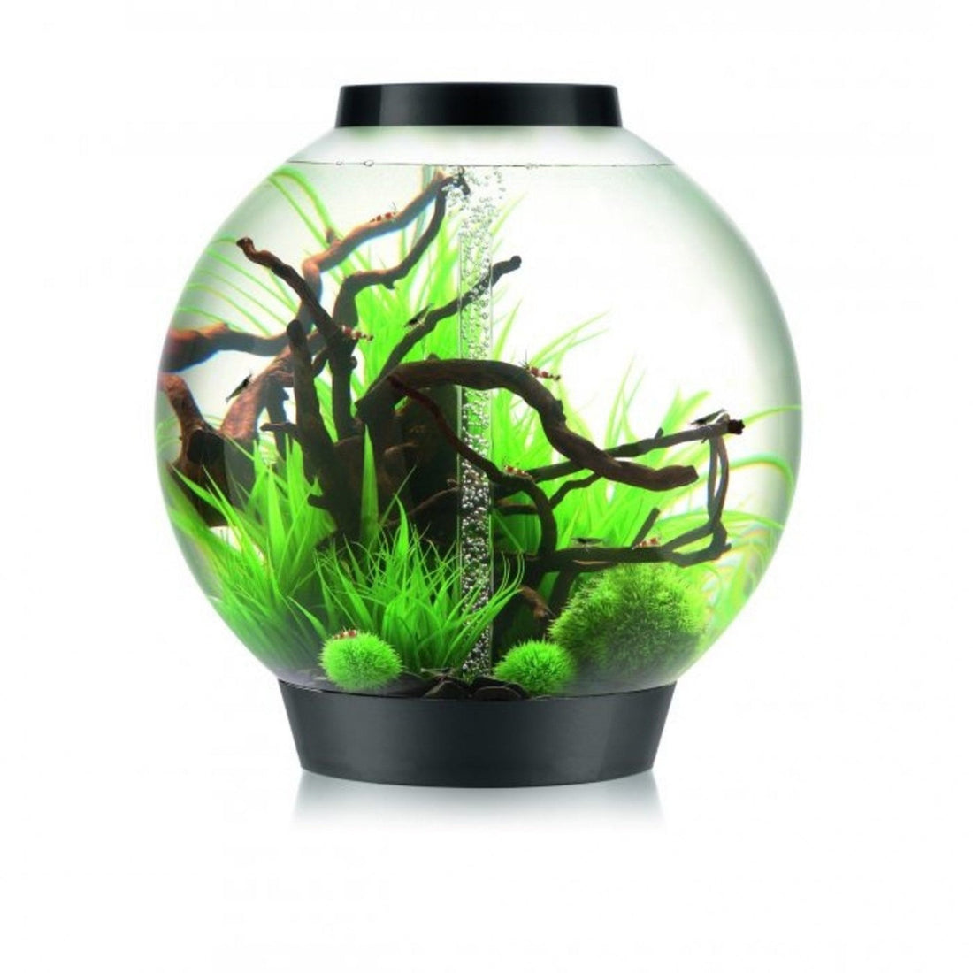 Biorb Black Aquarium 105