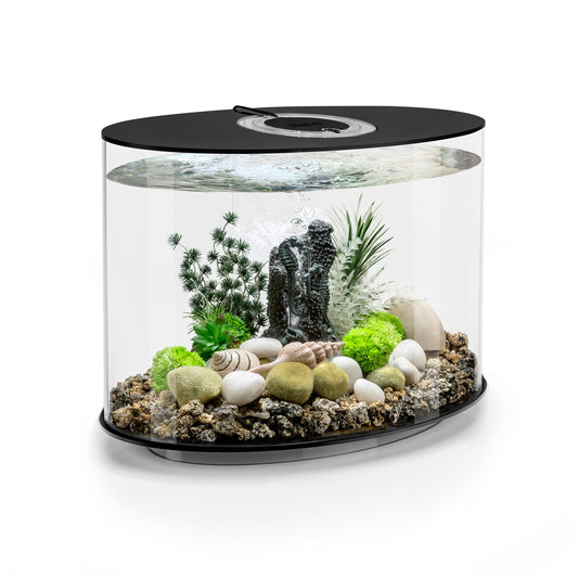 biOrb LOOP 30 MCR Aquarium – Black (30 L / 8 gal)
