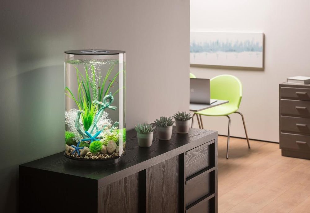 biOrb TUBE 30 MCR Aquarium – Black (30 L / Ø 32.8 × H 51.3 cm)