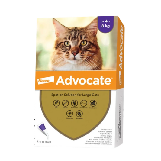 Advocate Spot-On for Large Cats (4 – 8 kg)- 1 Vial