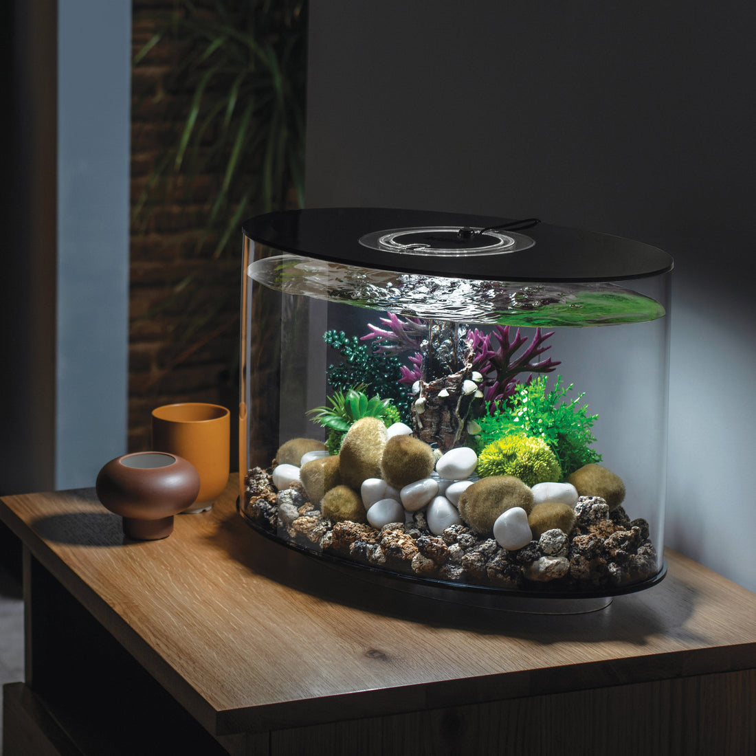 biOrb LOOP 30 MCR Aquarium – Black (30 L / 8 gal)