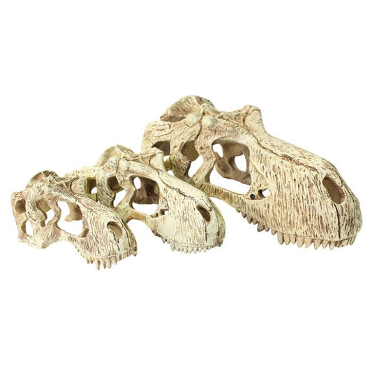 T-Rex Skull